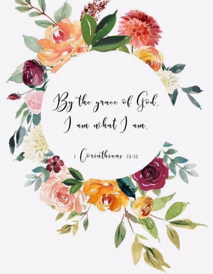 BFbyErin's tweet photo. https://t.co/CEYZsYuFWL