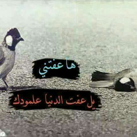 حبيت وادري اليحب لابد يشوف هموم حبيت وادري العشك بي ظالم ومظلوم لكن كلت ياربع بلكن عشكنه يدوم والارجو منه الوصل بأسنين هجره يطول