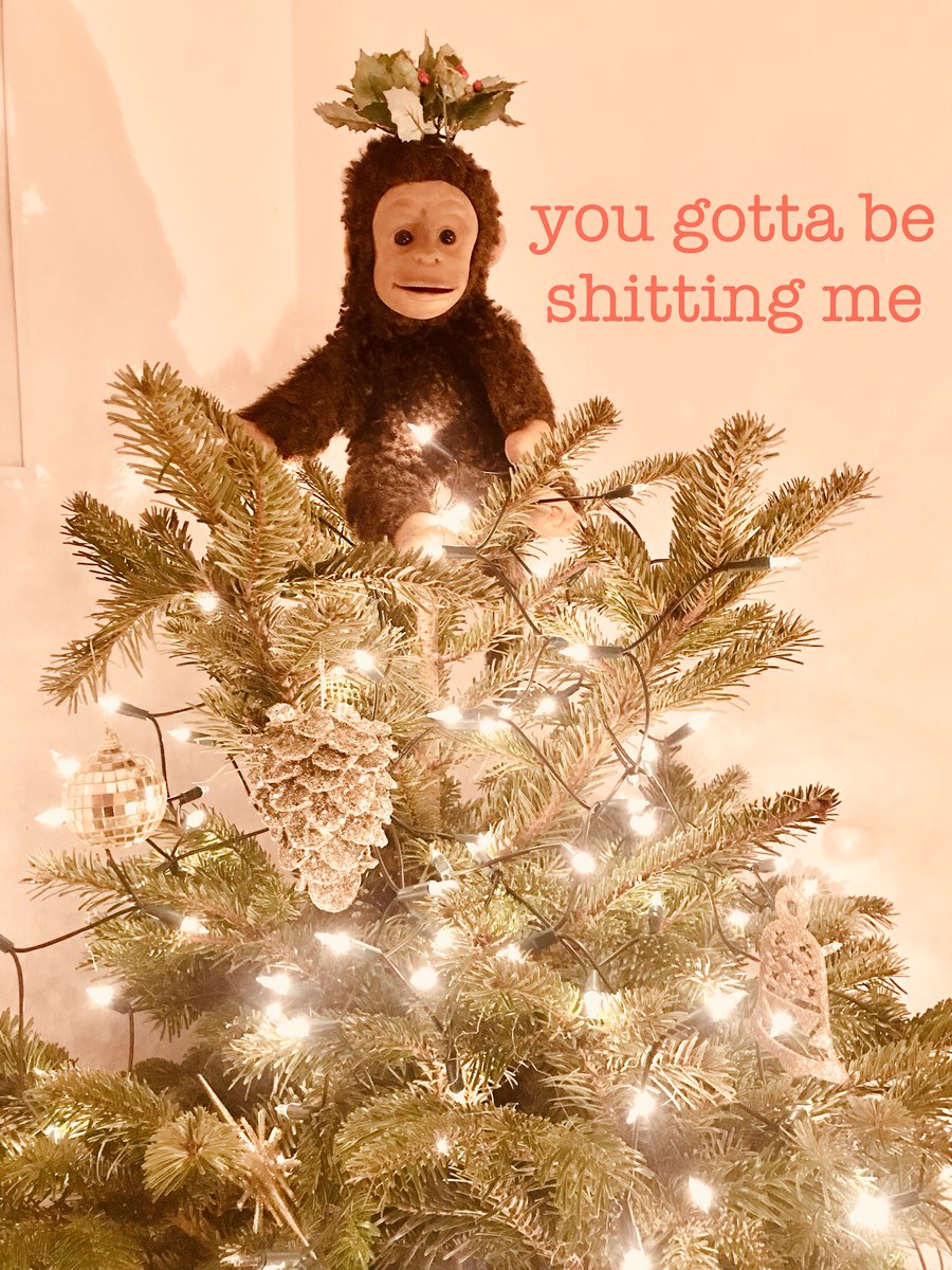 Nina Conti🪼 (@ninaconti) on Twitter photo 