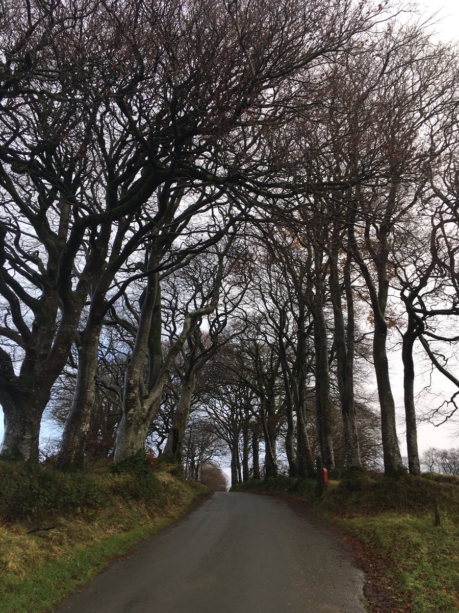 CREducATE's tweet image. In which #glorious county? Thinking of the preposterous pinkleferret of #Brexit Do the good people of #Langtree really have anything more in common with lovely #Londoners than those great people of #Lille Lucca or #Lisbon What makes us English, European or Worldish? @stephenfry