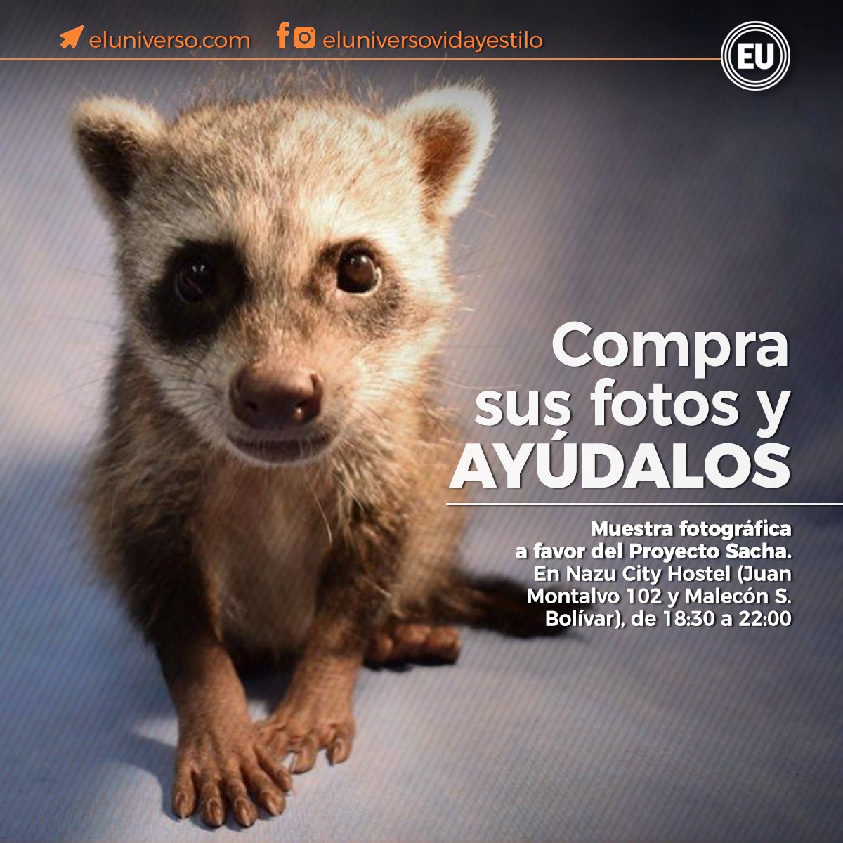 eluniversocom's tweet photo. ¿Quieres ayudar al #ProyectoSacha? Aquí una forma de hacerlo, en #Guayaquil ► https://t.co/s0X05Th6w3 https://t.co/cN9RC9P2eA