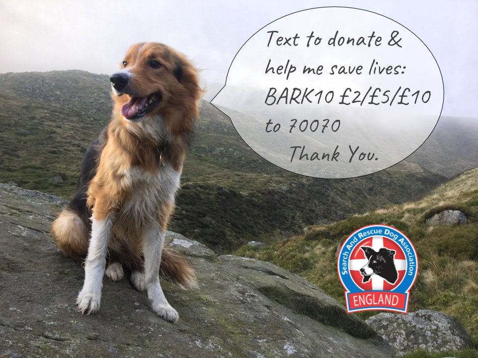 Many of our volunteer mountain rescue teams are having a record busy year, several have already had 100 callouts for the first time ever.

We all have team training, dog training, callouts, admin &amp; fundraising.

Thanks to our families, employers &amp; you for your ongoing support.