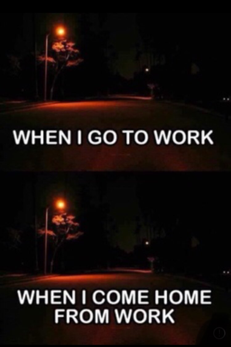 89mins's tweet image. My work life this year...