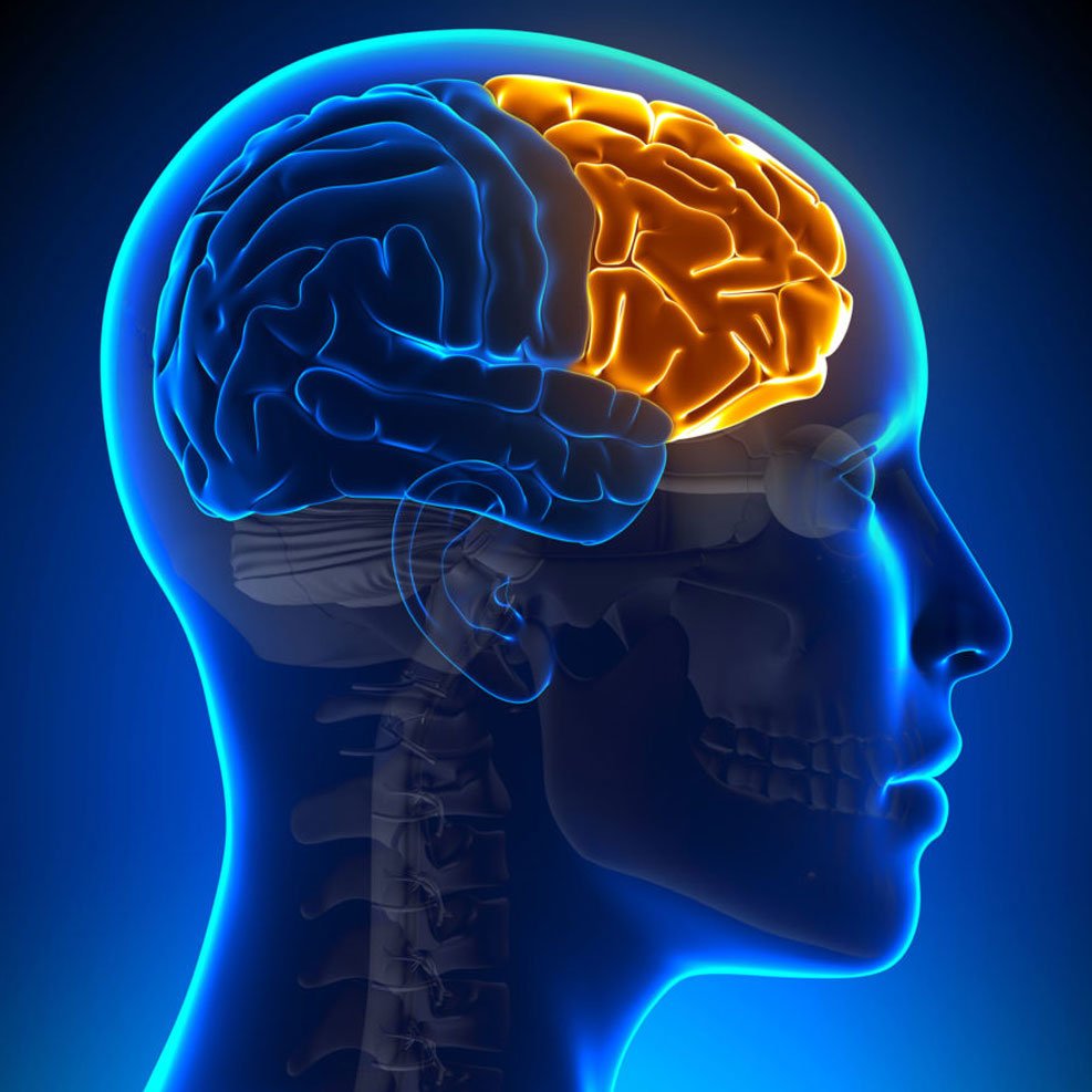 TheGBAN's tweet image. Read More #OnTheGBAN: bit.ly/GBANCannaLaugh
by @ScarletSensi  From tweet from our friends @cannaworldsite 
#theGBAN™&apos;s #BuzzAnalysis: Vitally Important, &amp;amp; is Key to other Creative Mind Visions Lacking in Society. Laughter is a benefit of #CannabisIsMedicine #CannabisCommunity