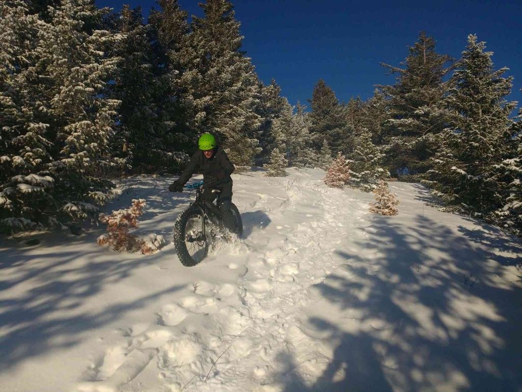 FernieForum's tweet photo. Fernie celebrates Global Fatbike day! #fatbike #gfbd2018 #ferniereport #fattires https://t.co/5n3kfZme35 https://t.co/3n6ShfoeEl