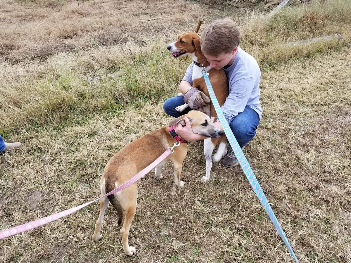 fosteringfoster's tweet photo. Getting it done!! Thanks to the Blythewood High Lacrosse Team for a morning full of work- and a little dog time- at the farm.
@BlythewoodHigh
@BlythewoodLax
#lacrosse #communityday #FosteringFoster #rescueadoptlove #rescuedogsofinstagram #luckydog #Farmers #farmlife #dogfarm https://t.co/JrWdlwldau