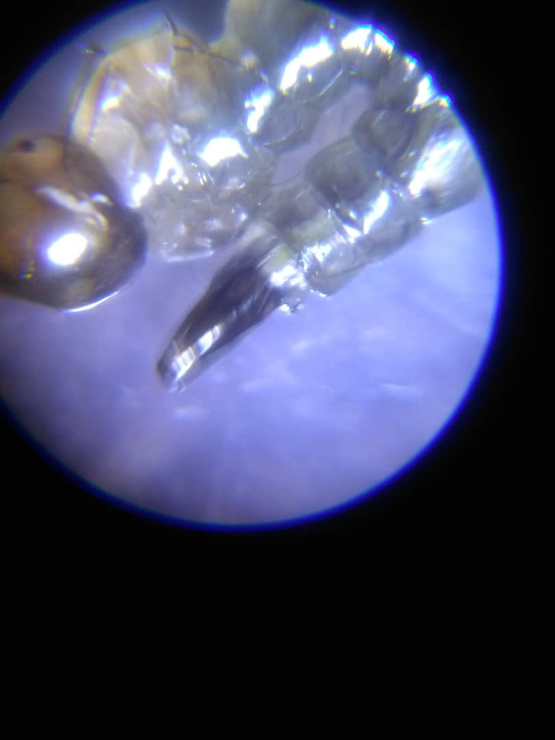 TogoGLOBE's tweet image. #Larves de #Moustiques observées au microscope aujord&apos;hui par nos équipes. Après 4 mues elles deviendront des moustiques qui &quot;se reproduisent dans des eaux stagnantes (mares, flaques d&apos;eau à l&apos;abri du soleil, jouets d&apos;enfants, seaux ou bidons creux, etc)&quot; #GLOBEProgram #TogoGLOBE