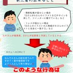 もしも無断転載を見かけたら…。第三者ができることと心においてほしい考え