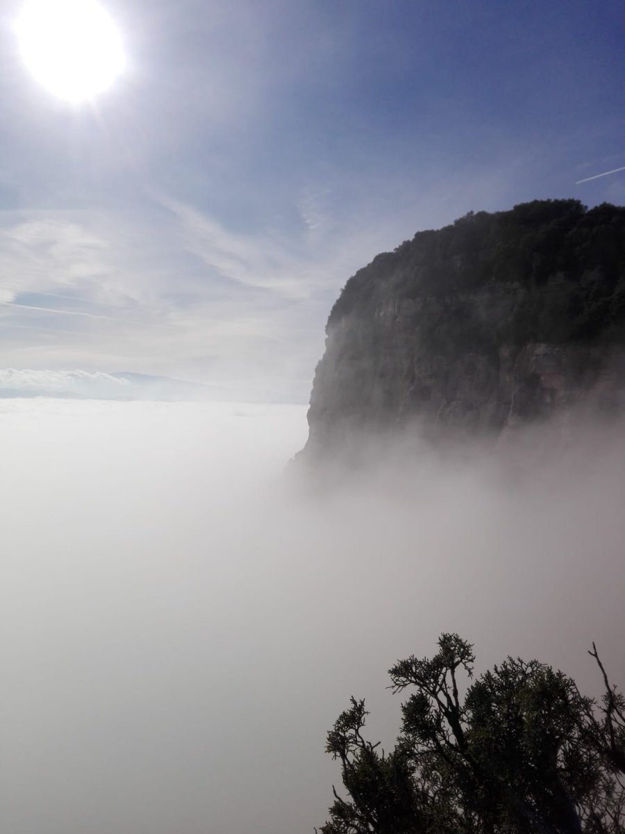 geopaseos's tweet photo. Espectacular ruta por els Cingles de Tavertet acompañados de una niebla cubriendo el pantano de Sau.
#geopaseos #CinglesdeTavertet #niebla https://t.co/C2x6zadwW2