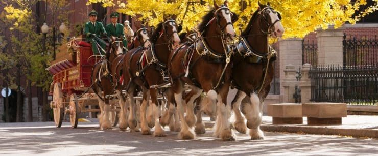 HobokenLifeCo's tweet image. Next Saturday, Dec. 8 the world-famous Budweiser Clydesdales will be trotting into Hoboken. to celebrate the repeal of Prohibition. The full hitch, including the iconic red wagon, will be making an appearance from 3-5 p.m. on Washington St btw 1st-8th St. hbkn.it/2RqQxkJ