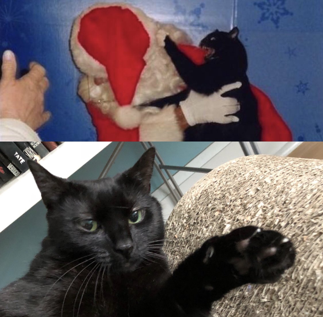 Storm The Castle tweet media