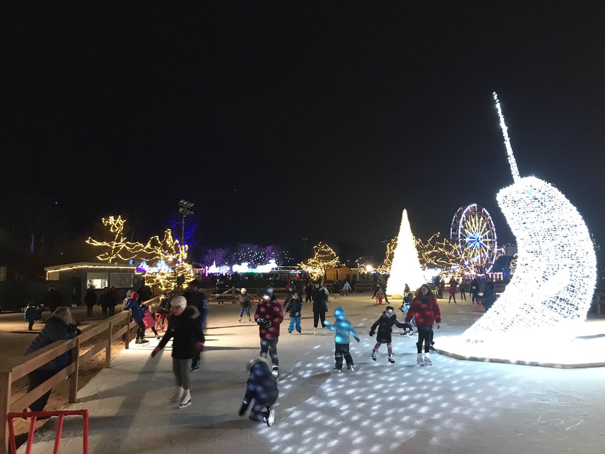 TwiceAsMadTim's tweet image. The @AuroraFestTO is in full swing at @OntarioPlace now until December 30th! @MuskokaBrewery has you fully stocked while you enjoy the sights, including our new #EbbAndFlow #SessionSour! Cheers! 🍻