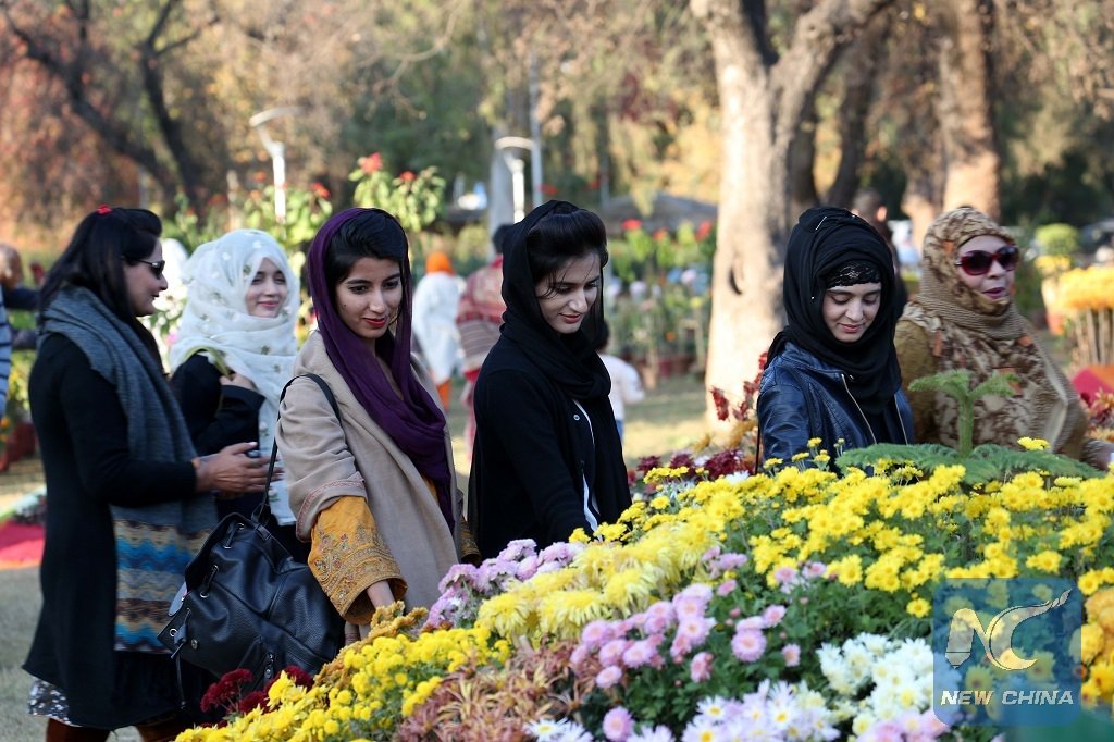 XHNews's tweet photo. Blooming flowers seen during Chrysanthemum and Autumn Flowers Show in Islamabad, capital of Pakistan https://t.co/nai9YGL0cG