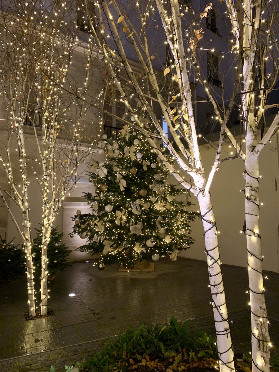14septembre's tweet photo. La magie de Noël s’installe à Beaupassage... ✨#Beaupassage https://t.co/oisuc8DsSH