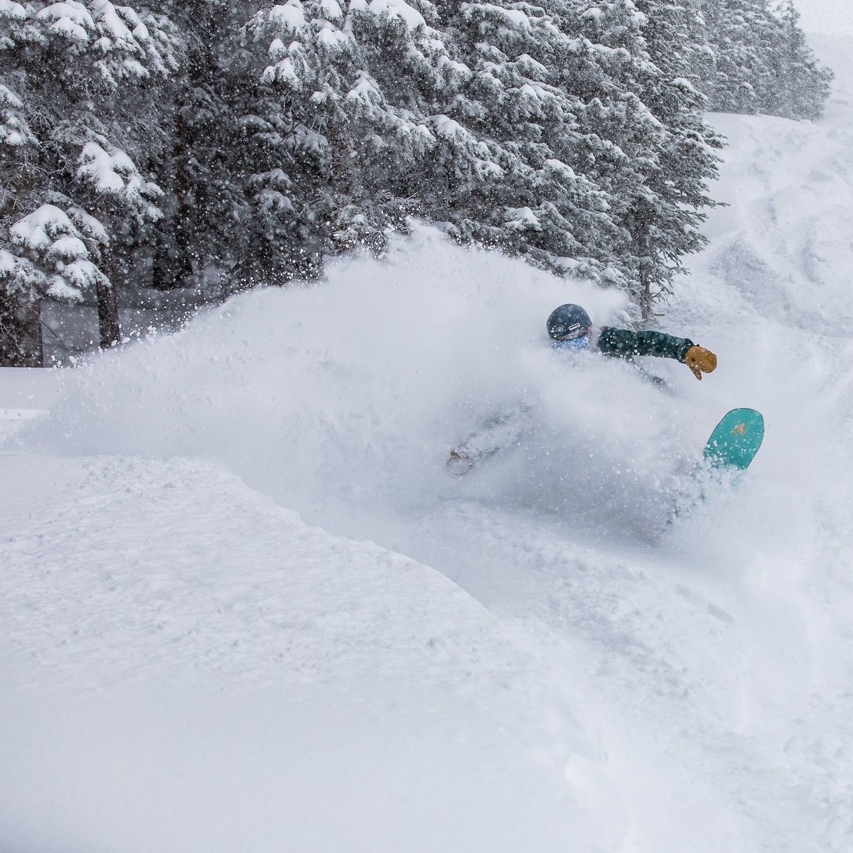 AspenSnowmass's tweet photo. The earliest highlands opening since 1992 and it looks a little like this 👇 📷: @tamarasusa https://t.co/2z28vrhOSp