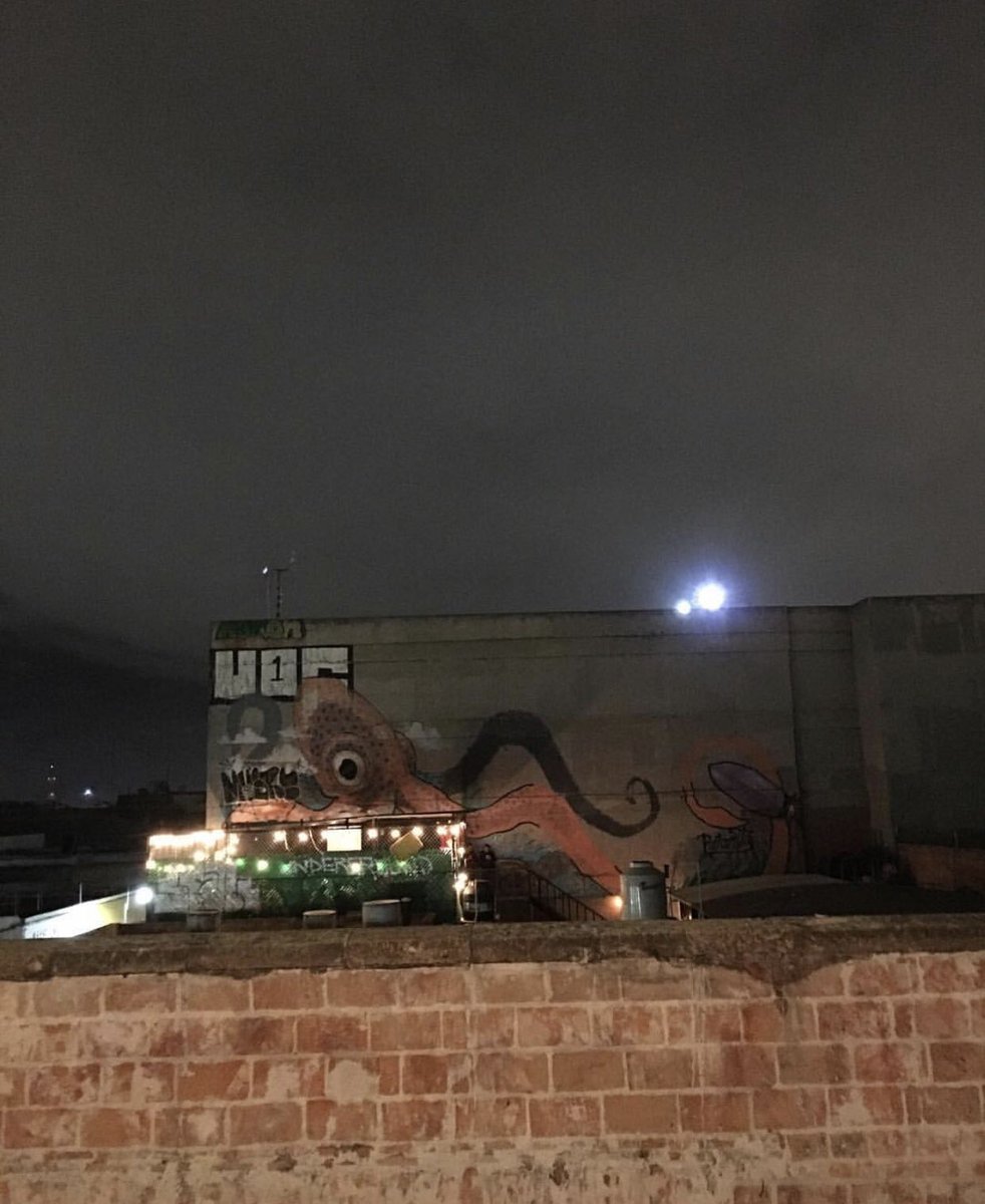 Reformitabar's tweet image. Ya nos llego la 4ta transformación en forma de chelitas a 18 pejitos