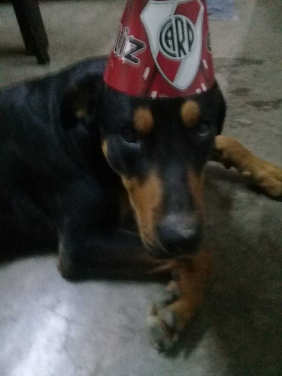 Nancy_A_Gon's tweet photo. #FelizCumple Leo https://t.co/ojbkaqpDYc
