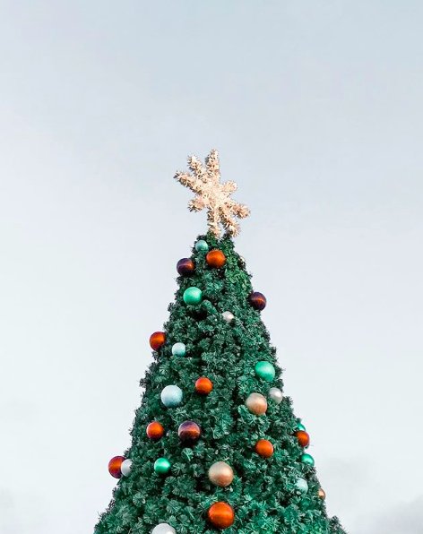 The Tree Lighting and “Rock for Tots” Toy Drive Charity Concert will be from 3pm to 8pm at Pier Plaza. See you there!
bit.ly/2BGHFSD