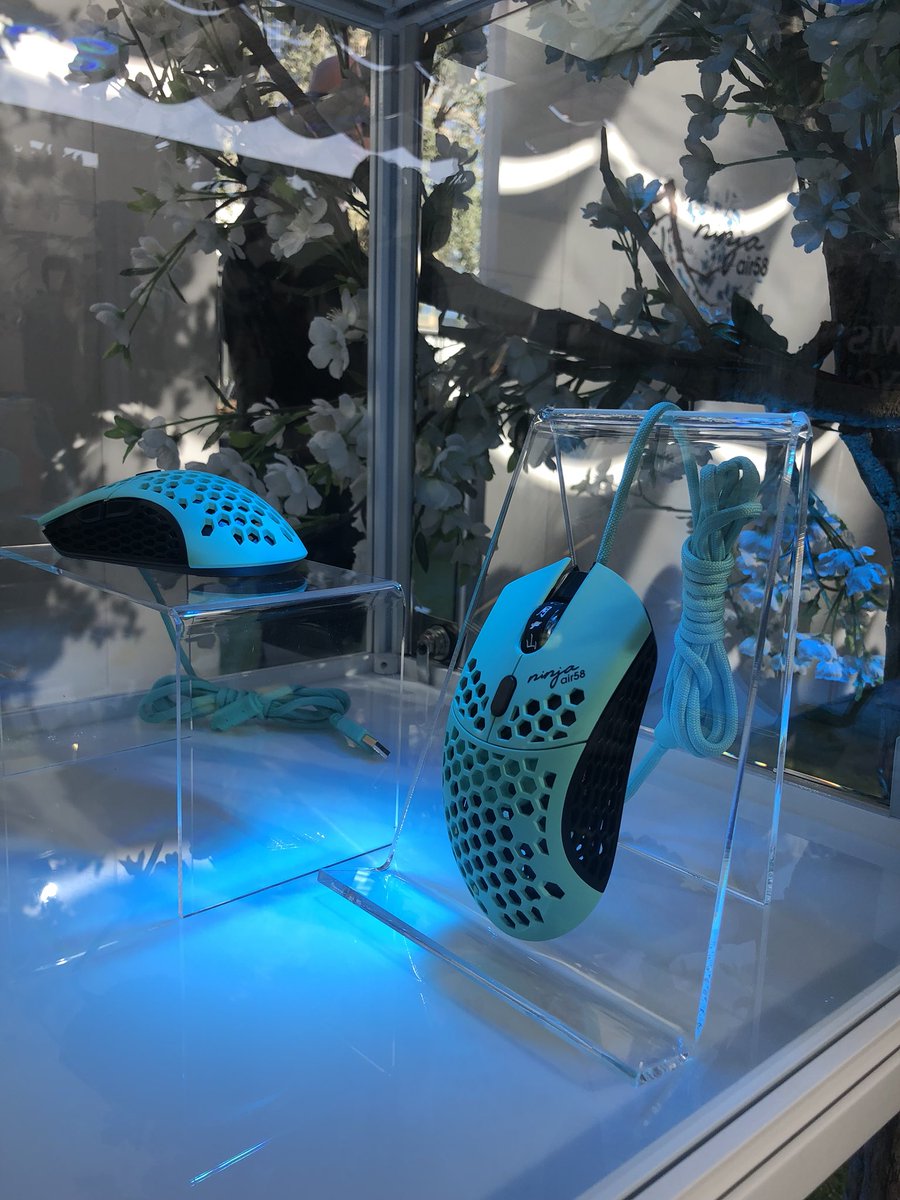 finalmouse's tweet photo. https://t.co/UxxaVSnbQD