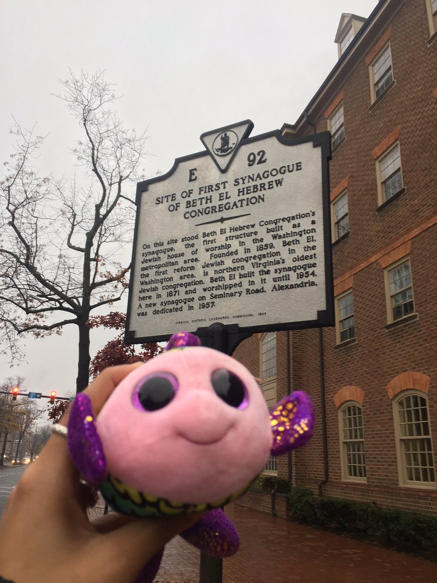 desdiham's tweet photo. #PokemonGOEC #HIST125007F18 @ProfBizri I put 4 different ones in this tweet https://t.co/jbCVQa0hg8