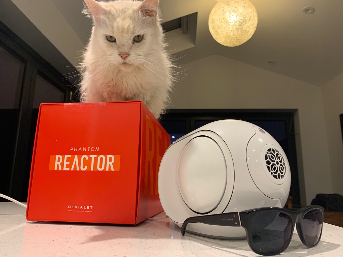 hiddensystems's tweet photo. At home having a listen to our demo @DEVIALET Reactor with little Izzy #maincoone thinking #Christmas2018 and #windsor https://t.co/czpqiTVNWT