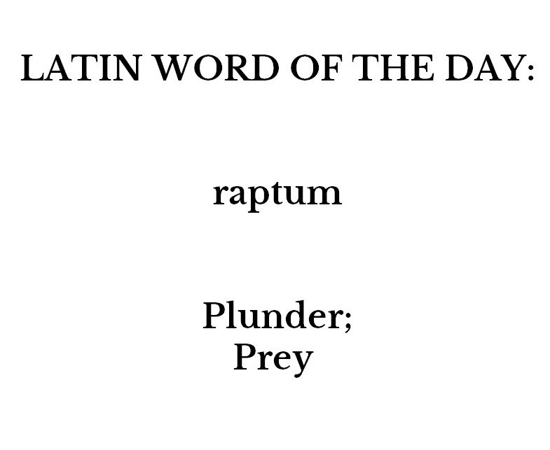 whencyclopedia's tweet photo. #Latin #Words #Languages https://t.co/gXNpMu2ALj