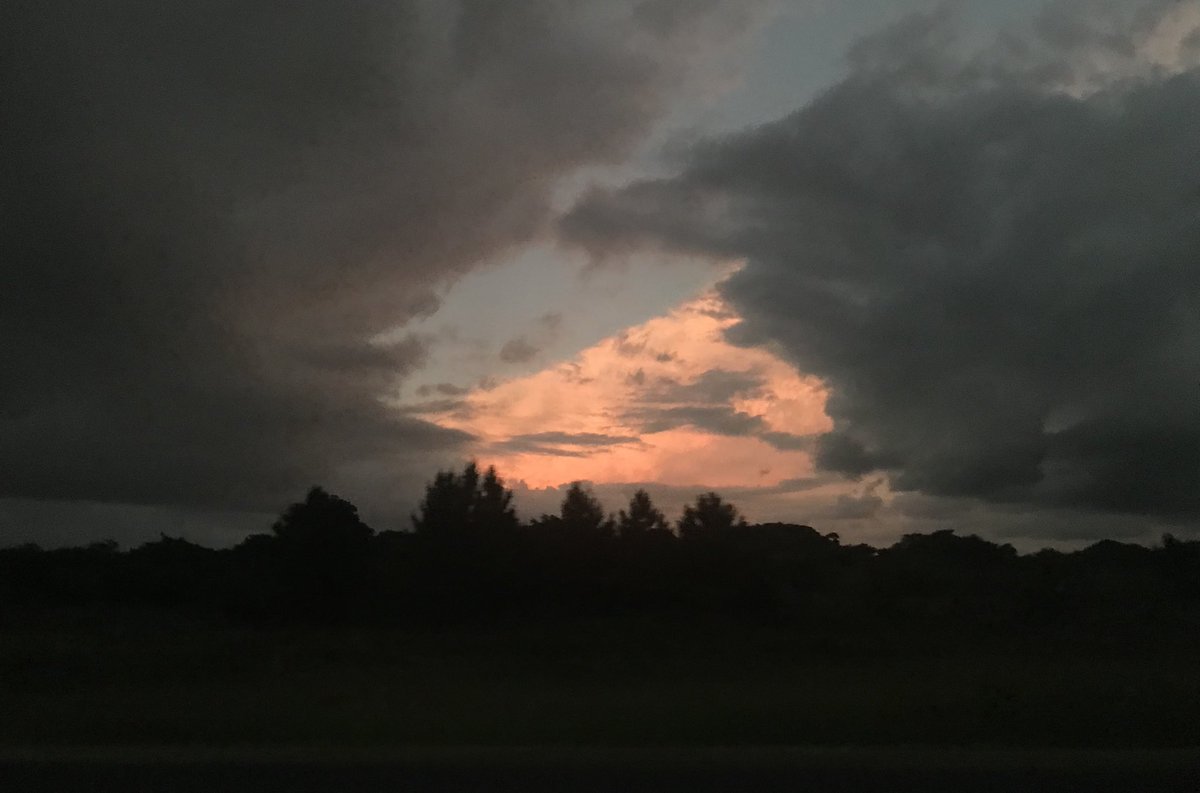 SilencieiTextos's tweet photo. e não é no contraste que a natureza se harmoniza? 🍂☁️ https://t.co/w8H56jfi37