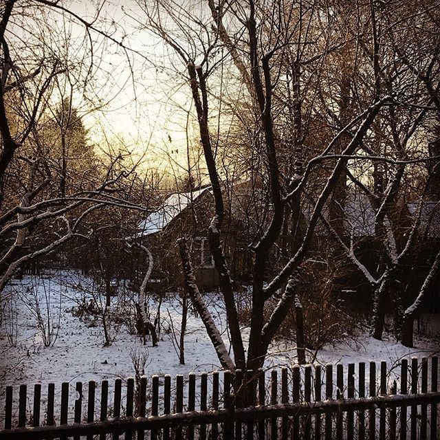 kscheib's tweet photo. Winter light, dacha life #зима #переделкино #снег #декабрь #всаду #надаче #dachalife #winter #snow #cold #garden https://t.co/KeSDxNOMmQ https://t.co/YEZlEqntj2