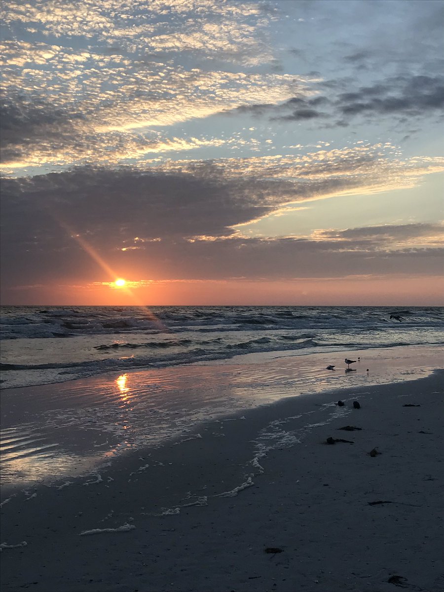 KylieStannard's tweet photo. Watching ⚽️, 🏃♂️ on 🏖 in Siesta Key, Repping @YaleSoccer. #Blessed 🙏 Living the dream. #AlwaysReppingYale #LogoNeverComesOff #ThisIsYale #TideWasFast #ThirdTimeWasACharm https://t.co/f52k5hN4zA