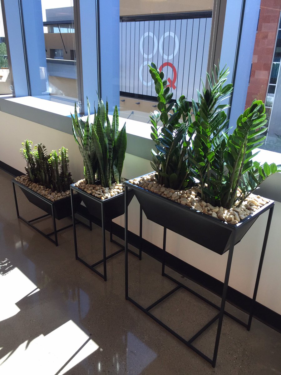 JustPlantDesign's tweet image. These sun-loving plants have a great view! Our multi-level planters show them off here in Scottsdale. 🌱☀️#thegreeneffect #sansevieria #euphorbia