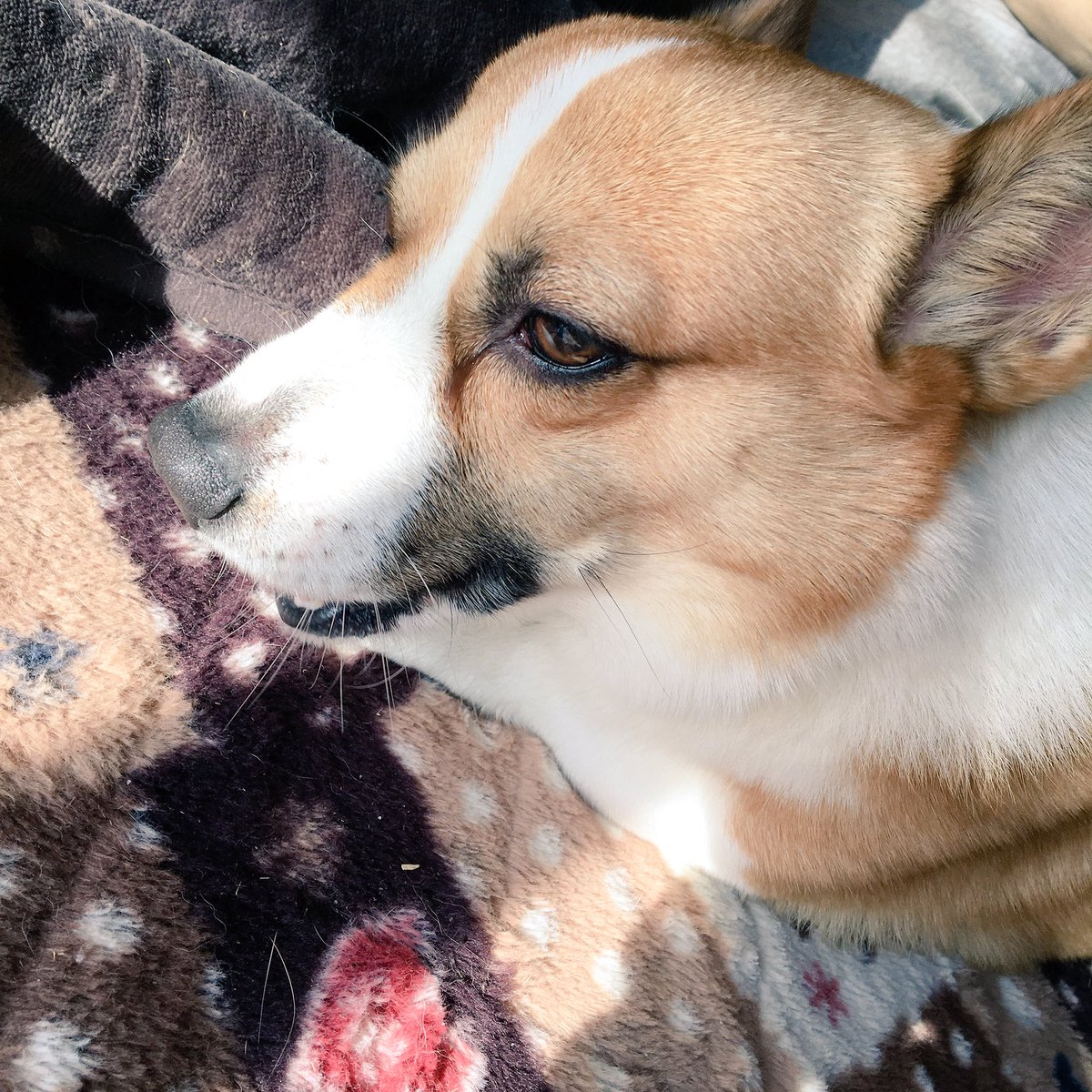 GO GO near. (@nia302) | Twitter