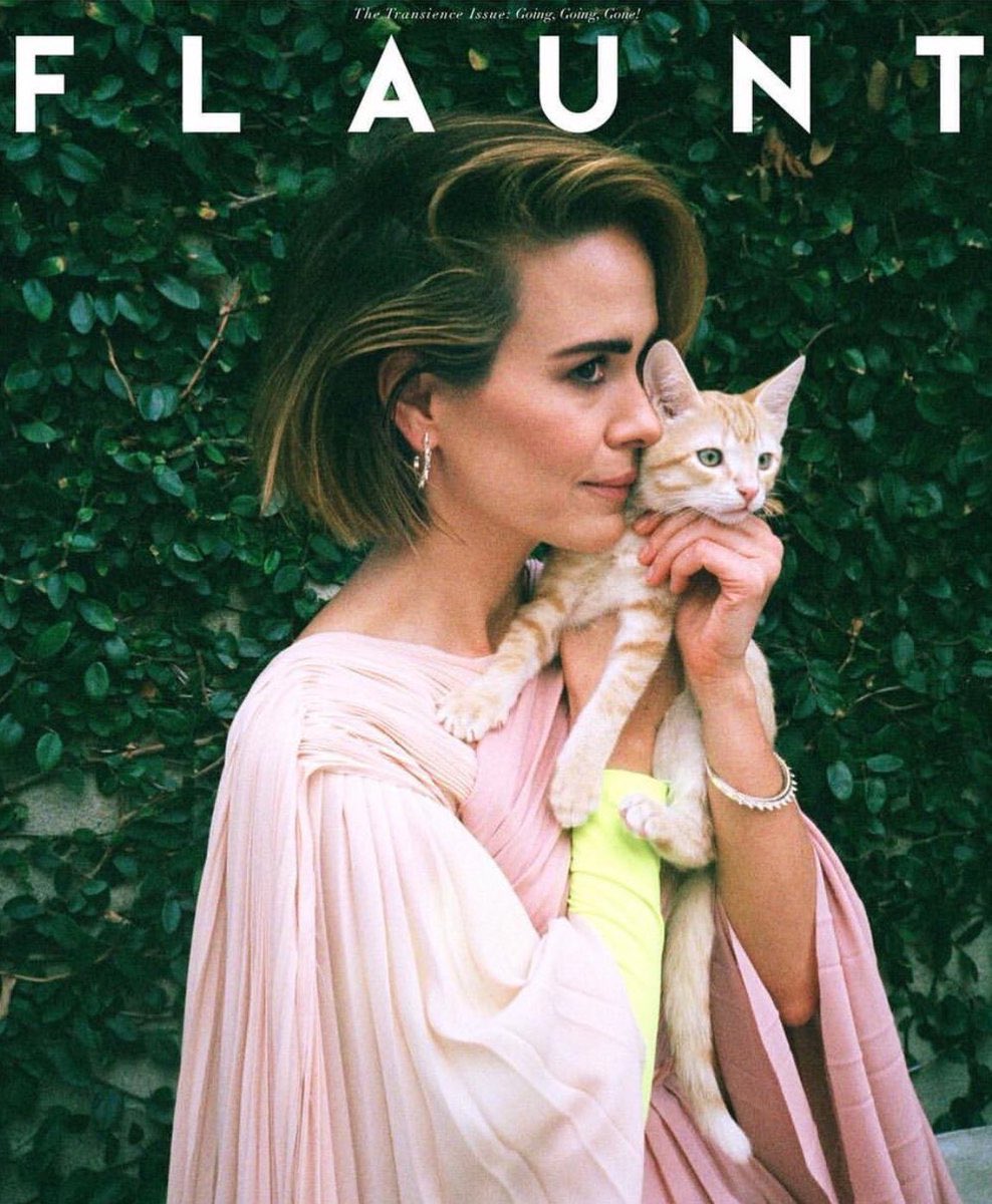 missspaulson's tweet photo. no doubt sarah paulson loves pussy https://t.co/d6CyhC7Y6G