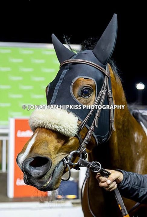 Vee Man Ten  battled on well under Kieran O’Neill to give the team our second winner of the week from our new yard  and our first ever winner for the owner Kulbir Sohi 😊
Congratulations to all the team and connections 
Great start from Averham Park Stables 🐎

#muchmoretocome#🤞