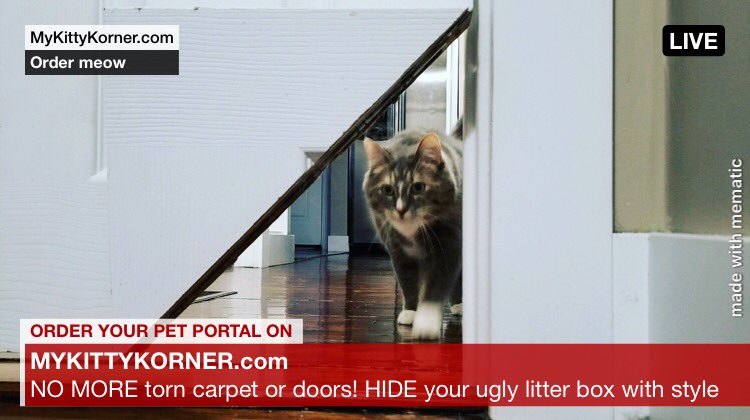 kitty korner kickstarter