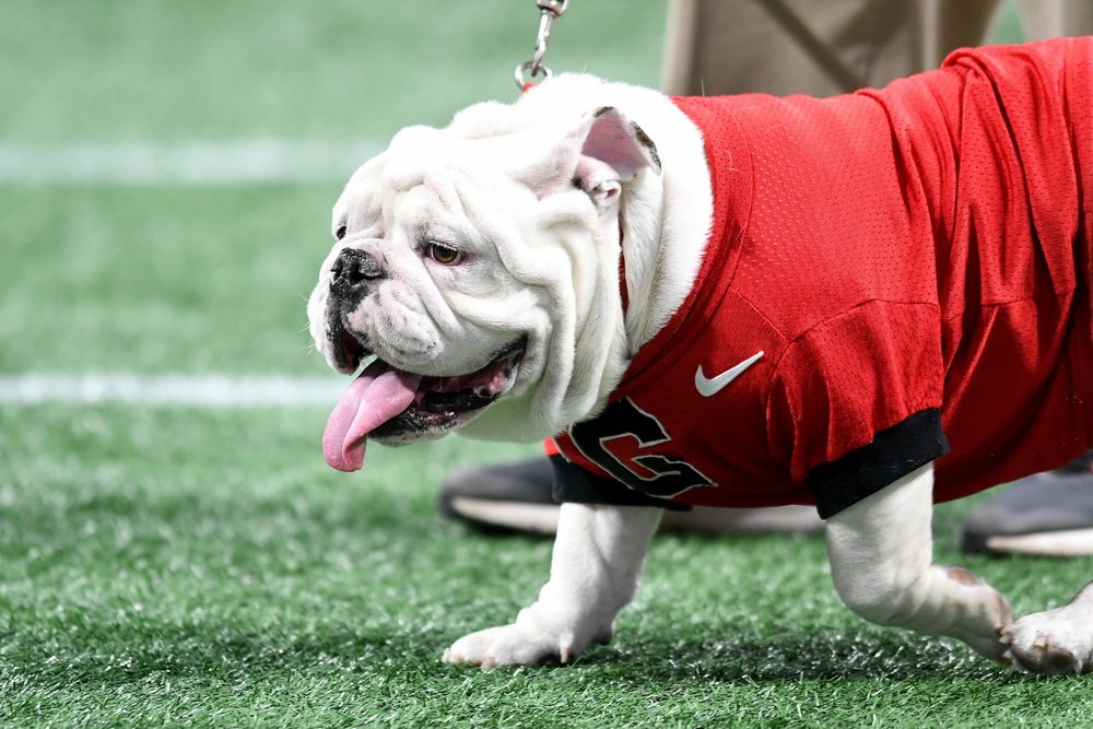 RadiNabulsi's tweet image. If you don't think #UGA is one of the four best teams in the nation, then I don't know what to tell you.