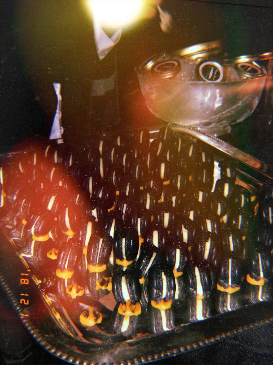 danielastyling's tweet image. Mood: @AlexanderWangNY Collection 2 😍 en NYC #COLLECTION2