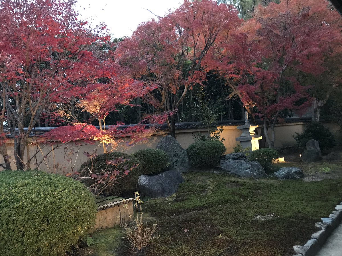 秋(？)の京都〜！よきかなよきかな〜〜