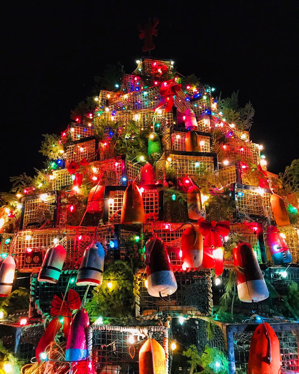 Oh Lobster Trap Tree of Port Mouton, for your 1st year, you sure are beautiful! Krystie Gatske you captured her perfectly... thank you! <a href="/VisitBarrington/">VisitBarrington</a> meet your little sister :-) <a href="/VisitNovaScotia/">Visit Nova Scotia</a> <a href="/saltscapes/">Saltscapes</a> <a href="/LucyLobsterNS/">LucyLobster</a>