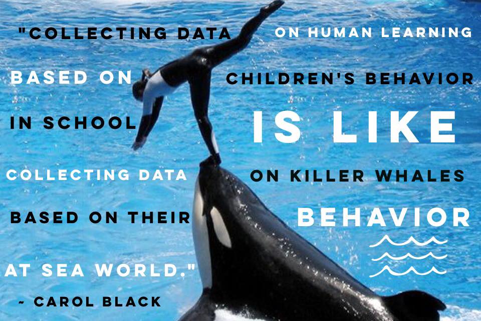 cblack__'s tweet image. If you don't understand how kids learn outside of schools, you don't understand learning.