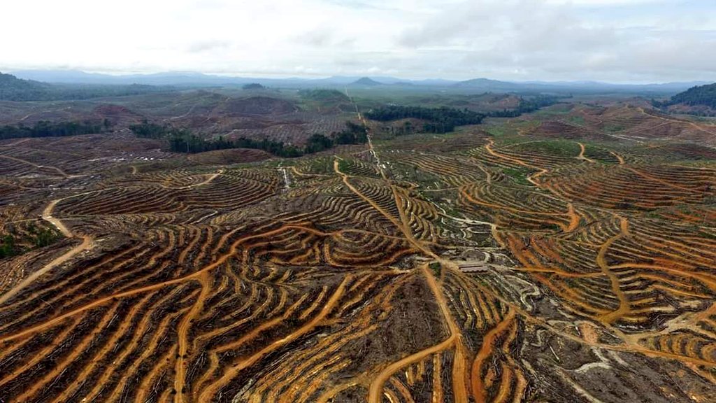 OLIGARKI adalah sekumpulan politisi dan pemodalnya yang bertarung dengan berbagai jargon (termasuk simbol-simbol agama) untuk giliran berkuasa dan mengambil keuntungan dari kekuasaan, tapi tak pernah bertarung memperjuangkan hal paling penting dalam kehidupan para pemilihnya.