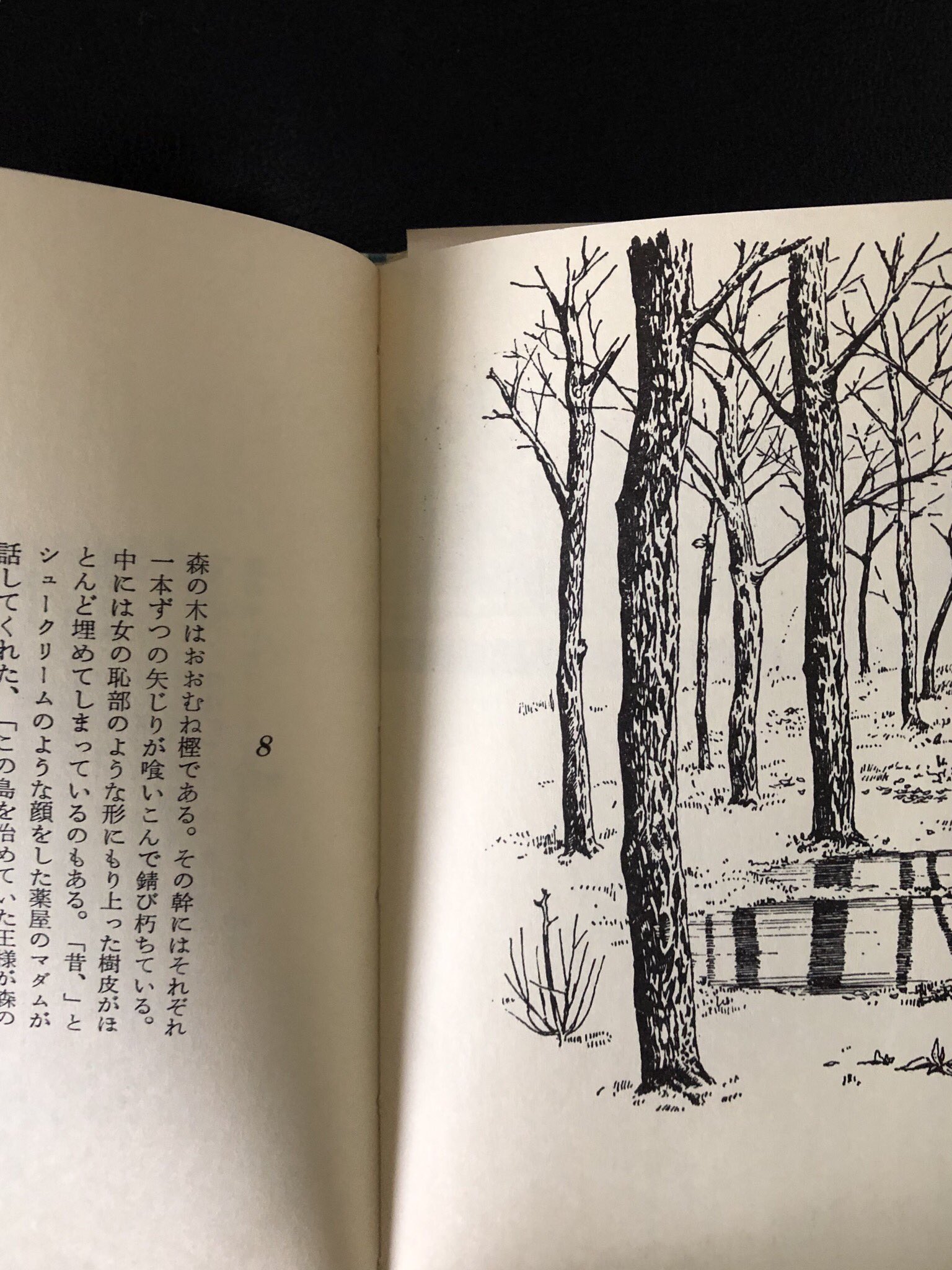 松尾真由美 على X: 