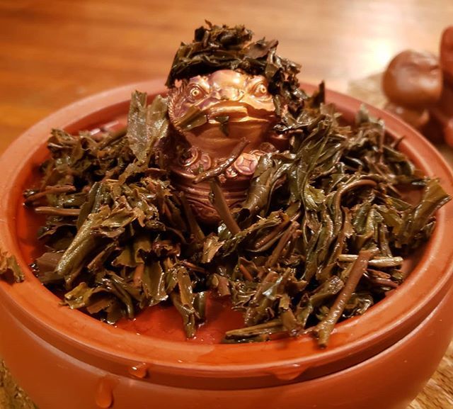 murphcha's tweet photo. Thinking about organizing two new tea groups1. The Greater Philadelphia Tea Organization2. Phoenix and Puerh The first will introduce general tea cultures and the other will be specifically for puerh and strong oolongs. Good idea?… https://t.co/plN2vOAggx https://t.co/yeuJYI7X1r
