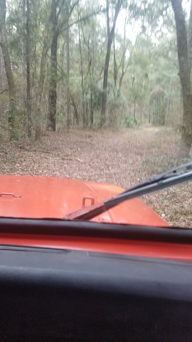 gmane22's tweet image. Hunting thanksgiving weekend