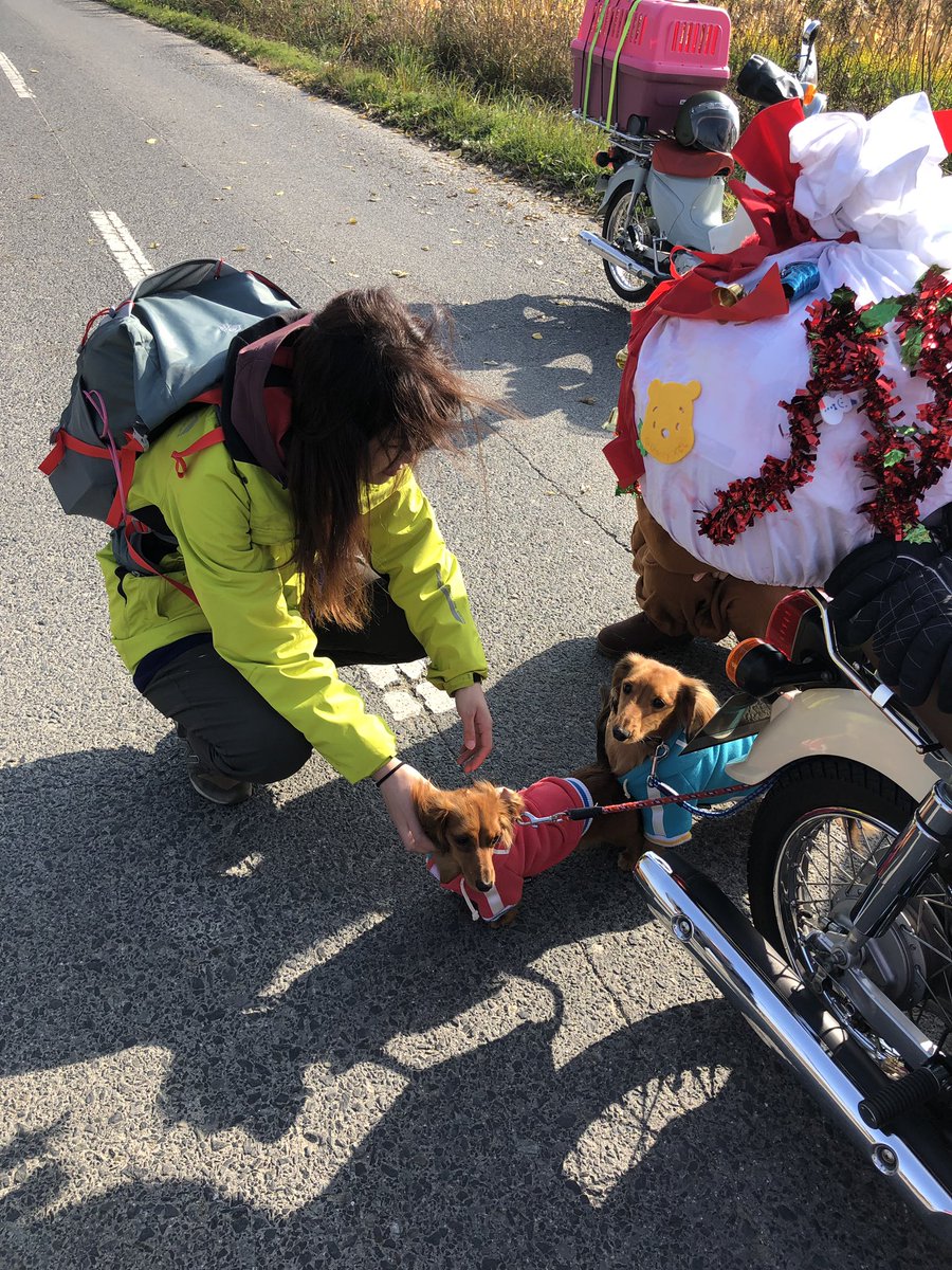 ライダーハウス風曜日 ゲストハウス בטוויטר カブサイドカーでサンタコスして笠岡ふれあい空港の滑走路パレードラン最高に楽しかったです ライダーハウス ゲストハウス 民泊 バイク女子 バイク バイク乗りと繋がりたい バイク旅 バイカーズベース 旅