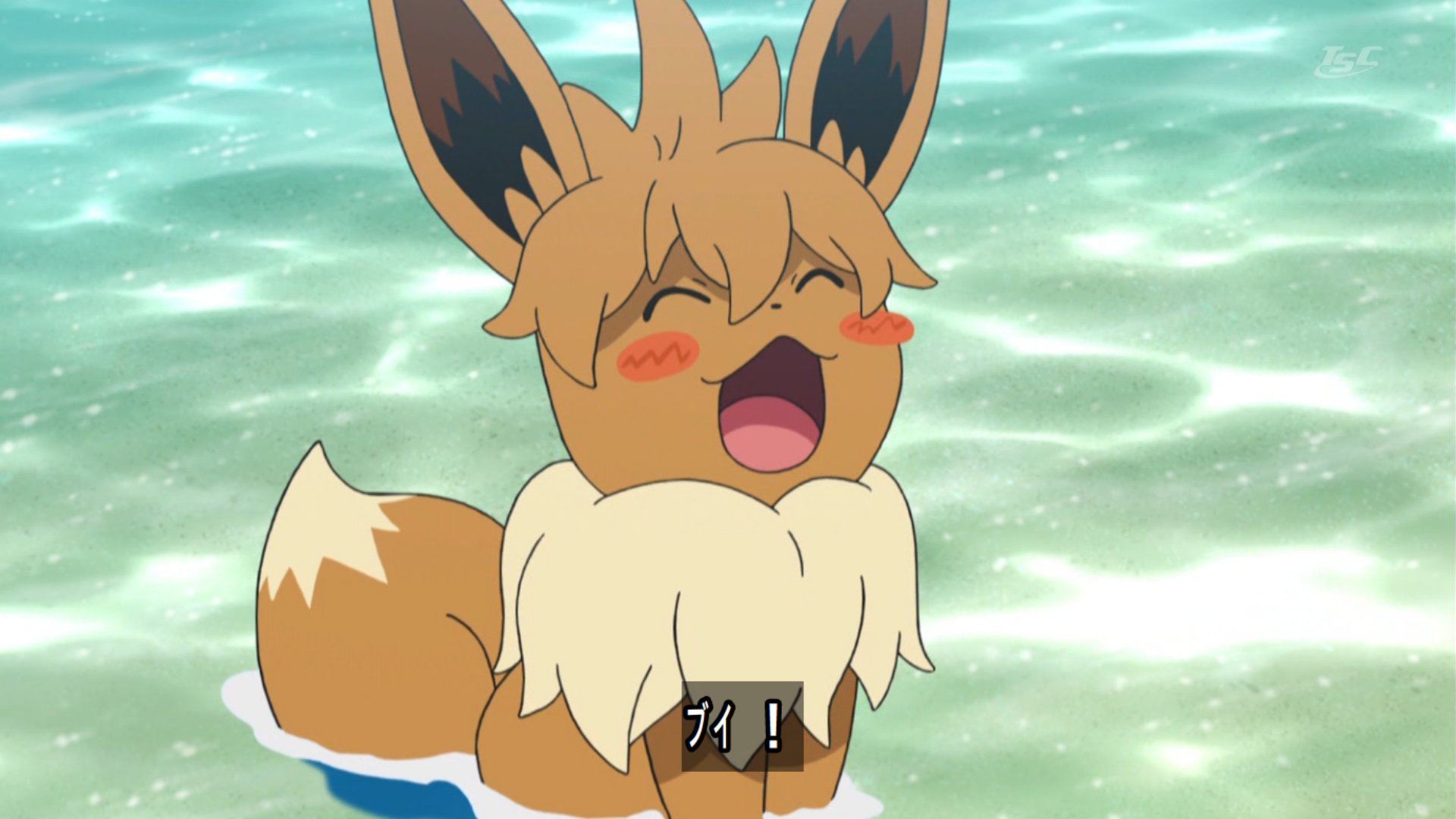 Twitter 上的 綾 ゼロ速 Ilovehyupas サンムーンのアニポケ自体久々に観たのであまり詳しくいえませんが 今回スイレンちゃんが捕まえたのはおそらくその前髪の長いイーブイです T Co U00u8xwvzy Twitter