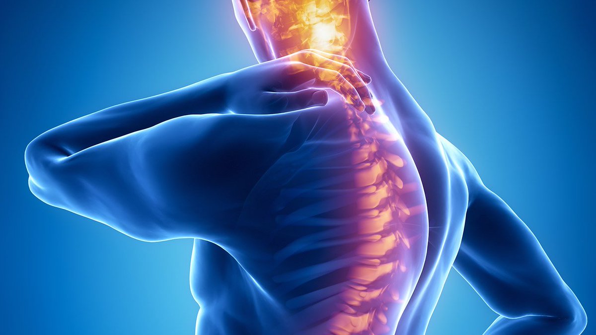 epracticetech's tweet photo. PMT for Physiotherapists
https://t.co/keb4aBkAuX https://t.co/o3UAebS8Og