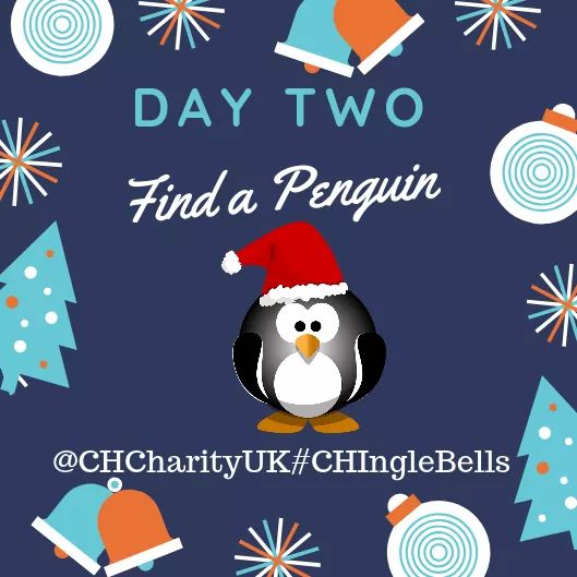 CHCharityUK's tweet photo. ** Scavenger Hunt Day Two = Find a Penguin!!** Remember you can join in at any time &amp; every day you enter you will receive one entry into our weekly and overall winner prize draw.
1. Find a penguin 🕵️‍♀️🐧
2. Take a photo 📸
3. Tweet it to us @CHCharityUK #CHIngleBells 🔔 https://t.co/2FfeI3YVry