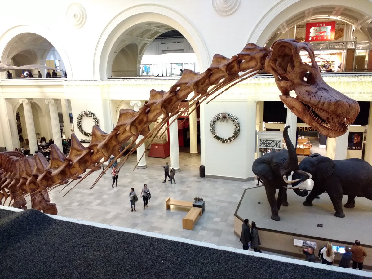 devzillasaurus's tweet photo. Meeting Maximo for the first time at the @FieldMuseum! #meetmaximo #thefieldmuseum https://t.co/TtXBwuXl5k