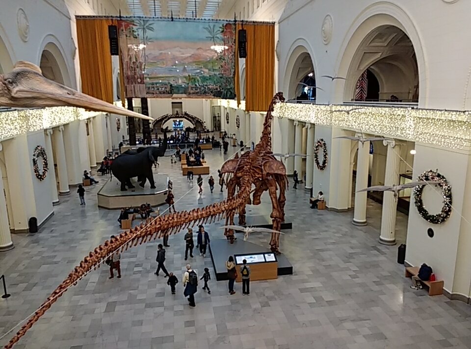 devzillasaurus's tweet photo. Meeting Maximo for the first time at the @FieldMuseum! #meetmaximo #thefieldmuseum https://t.co/TtXBwuXl5k