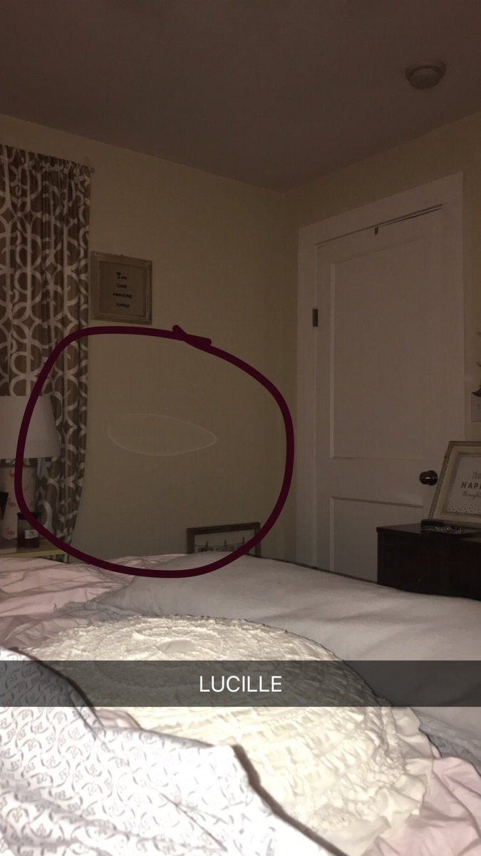 LucilleIsReal's tweet image. Uh oh Paige found me lurking in her room. I just wanted to watch her sleep??